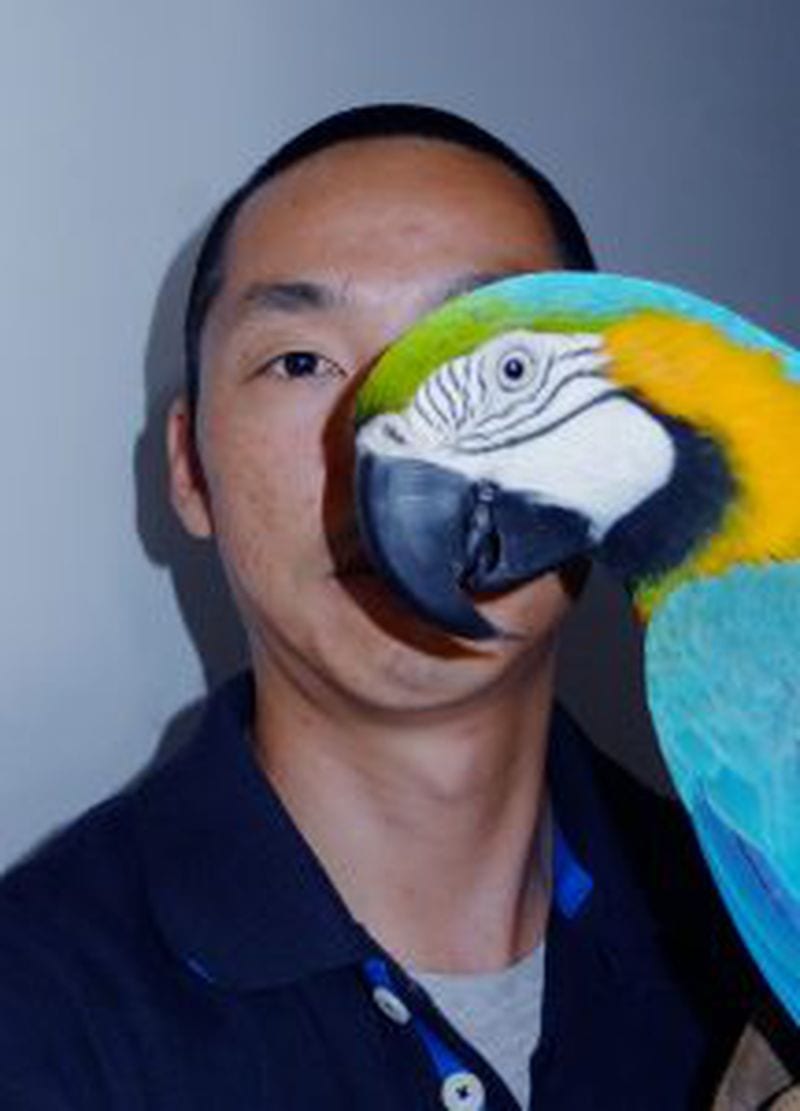 Feng Li — portfolio 1
