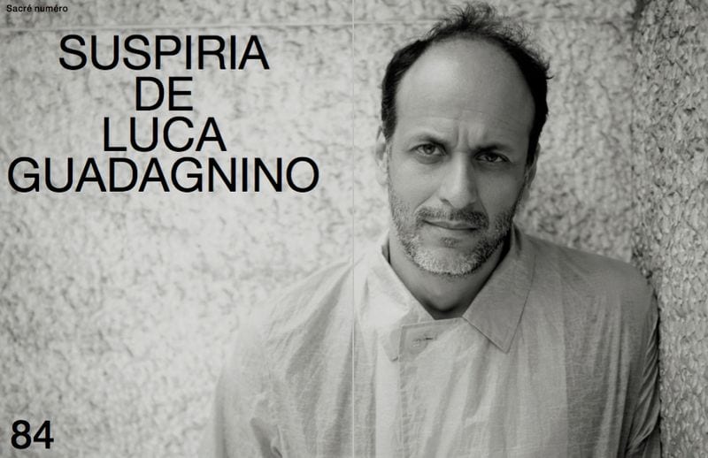 Luca Guadagnino — портфолио 1