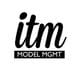 itmodels logo