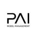 PAI Model Management logo