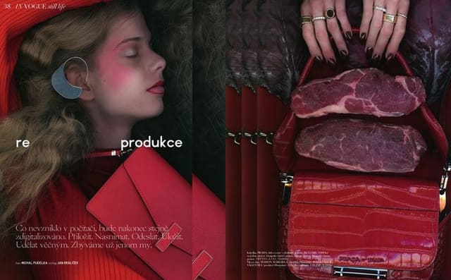 re produkce — Vogue Czechoslovakia