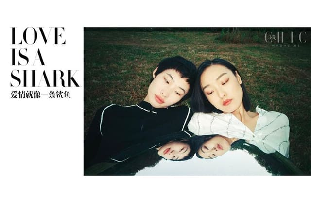 LOVE IS A SHARK — Chic Magazine China