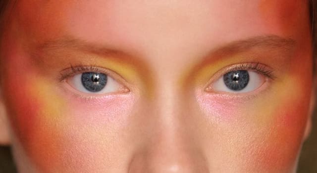 Pigment Playdate — Dazed Digital