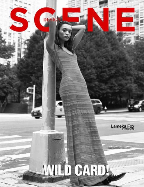 Design Scene November 2018 Cover — Design Scene