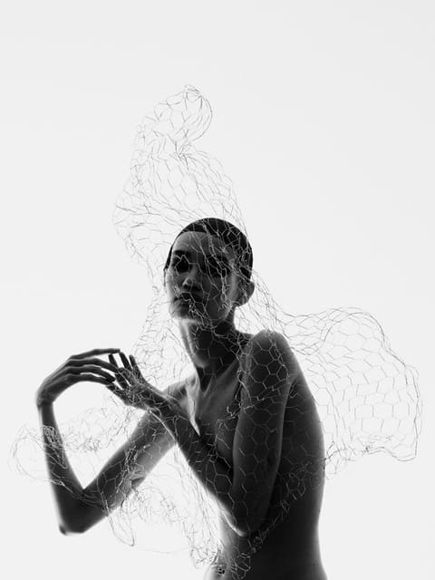 Gloriosa Superba — SLIMI Magazine