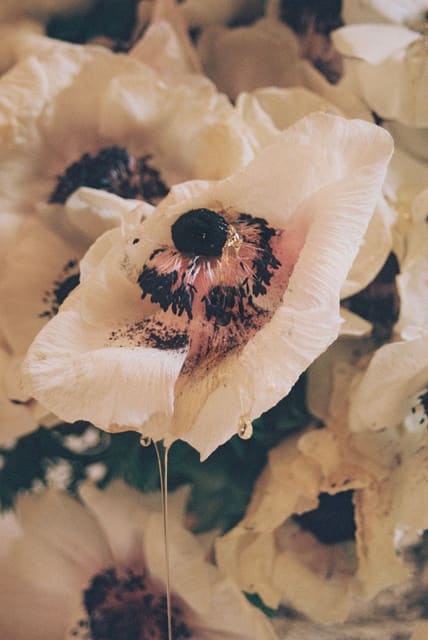 Slow Like Honey — Exit Magazine