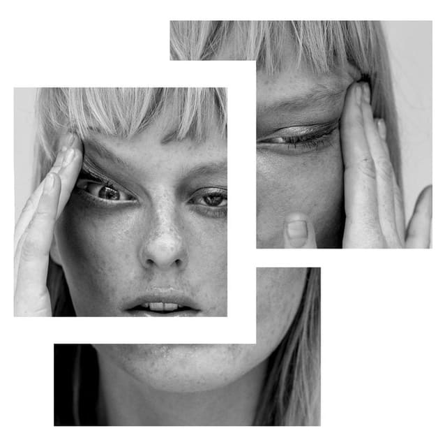 RAISED HIDE — Schön Magazine