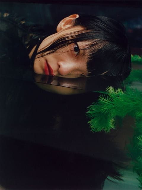 Aquarium — novembre global