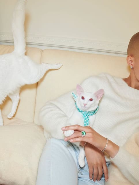 Animal Insticts — Tiffany & Co.