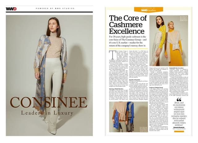 CONSINEE: Leaders in Luxury