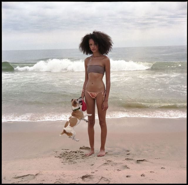 Dog Day At The Sea Shore — CR Fashion Book