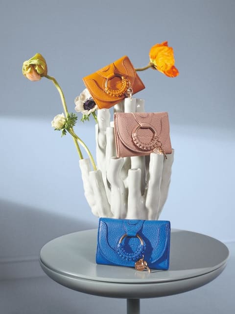 See by Chloe Accessories F/W 19 — See by Chloe
