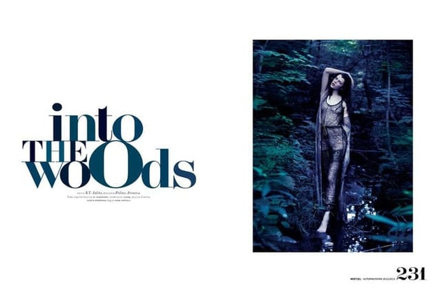 Into the woods — Mixte