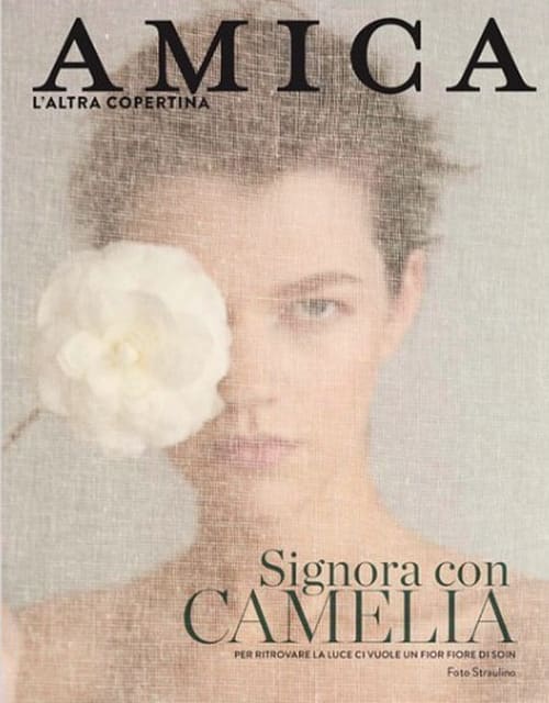 Amica April 2019 Cover — Amica
