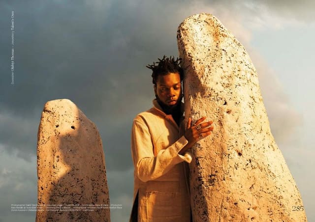 Photography David Uzochukwu — Cactus