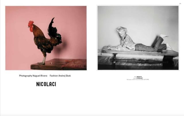 Nicolaci — CAP 74024