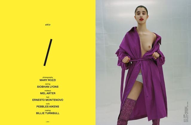 Shiv by Mary Rozzi — The September Issues