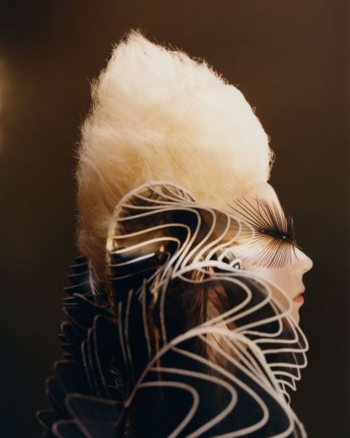 Iris Van Herpen Special — Iris van Herpen