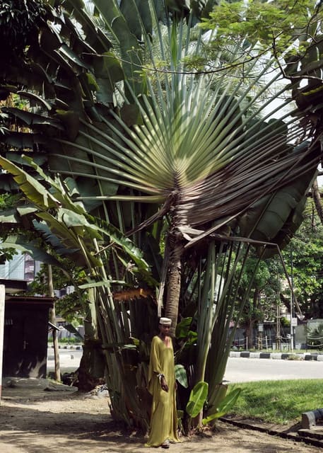 Lagos Delivers the Unexpected