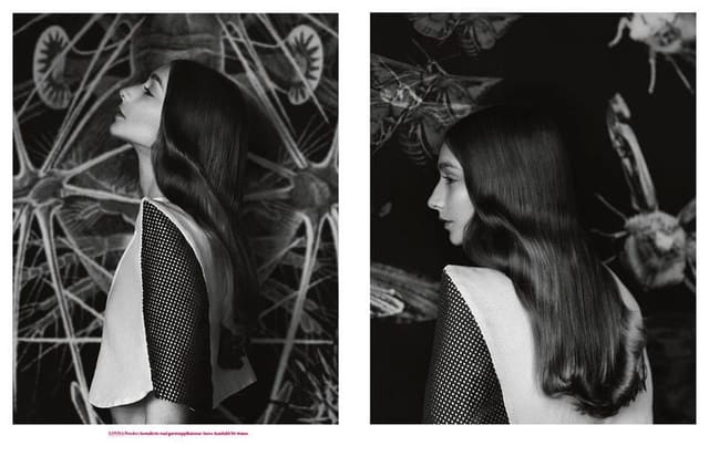 The Butterflies — Bon Magazine