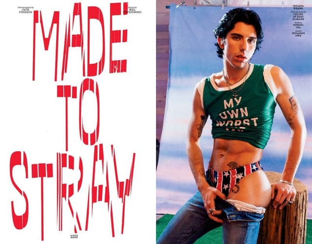 Made To Stray — Interview Magazine