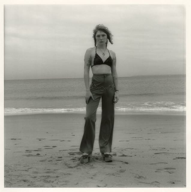 The Coney Island Polar Bears — Document Journal Online