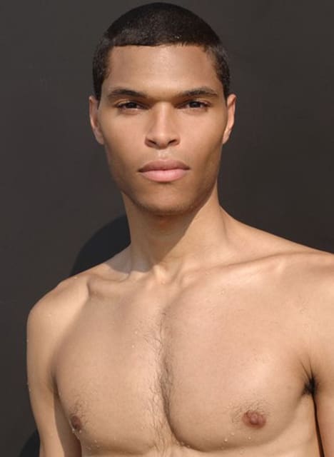 Paul Stiell