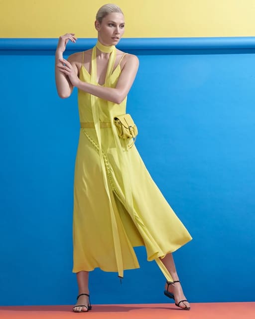 Animale January 2020 Catalog — Animale