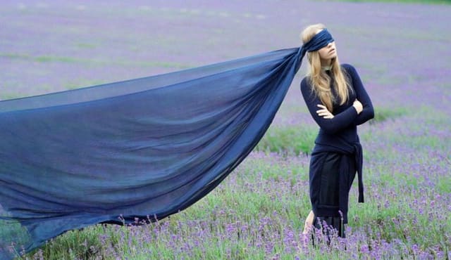 Lavender — Test Mag