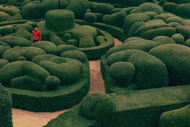 Les Jardins de Marqueyssac — Kinfolk