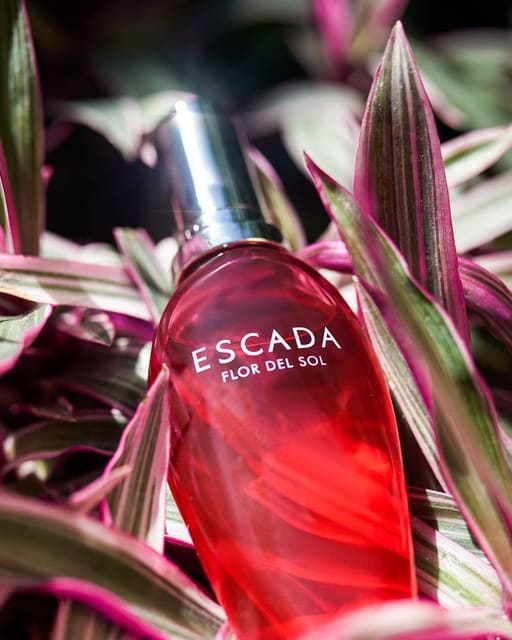 Escada Flor del Sol Fragrance — Escada
