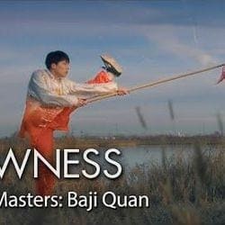 Young Masters: Baji Quan — Nowness