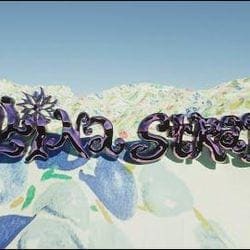 Collina Strada S/S 21 Digital Show — Collina Strada