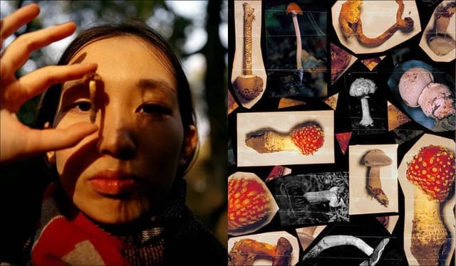 Foraging For Fashion In The Forest: An A... — Refinery 29