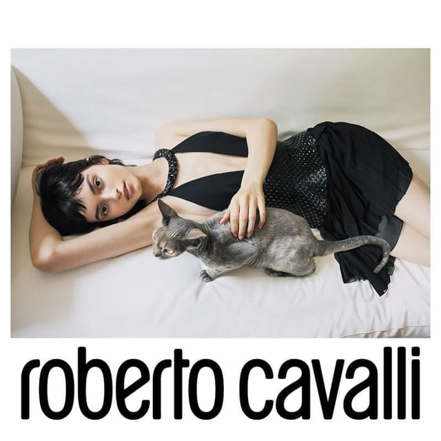 Roberto Cavalli Fall/Winter 2020 — Roberto Cavalli