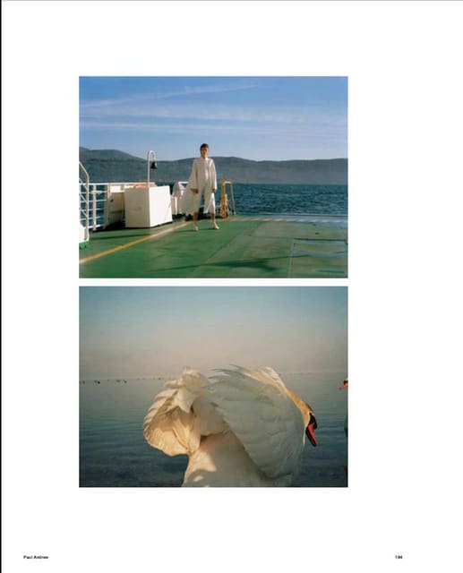 MUSE 55 - Ferragamo story — Muse Magazine