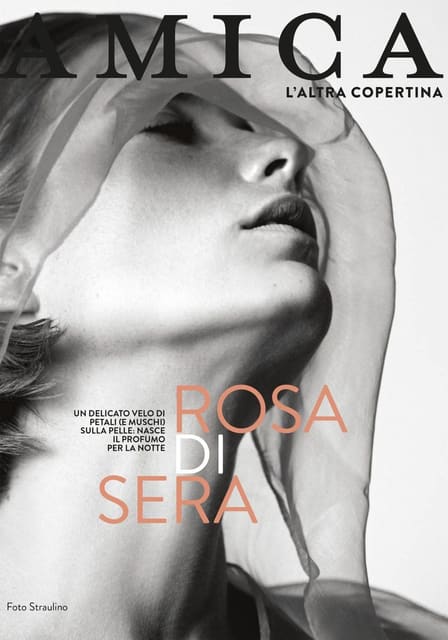Rosa di Sera — Amica