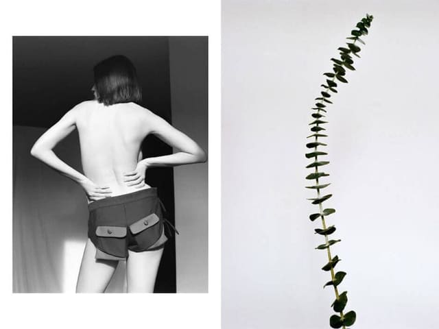 Encounter - No.80 Saku by Elena Bofill — Lula Japan