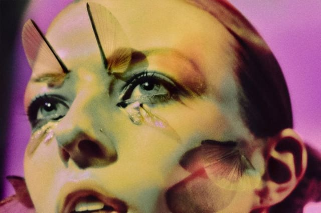 The Transformation — W Korea