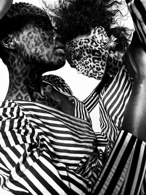 Animale — Schön Magazine