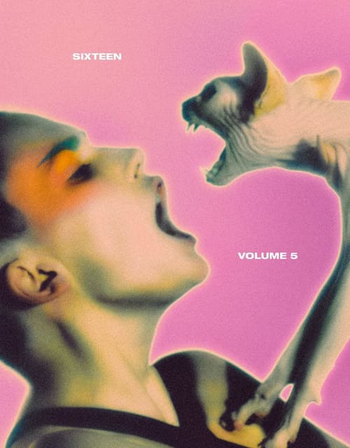 Sixteen Journal Volume 5 Spring 2021 Cov... — Sixteen Journal