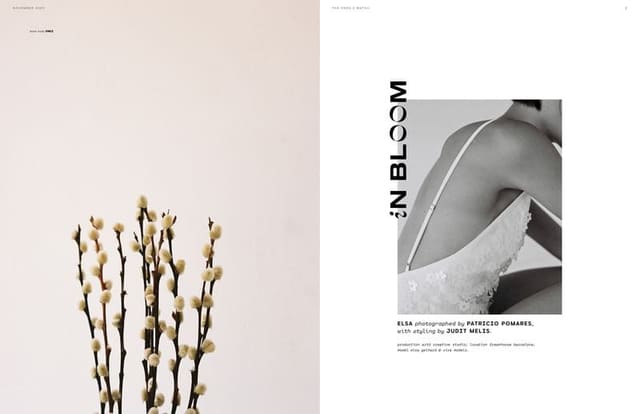 In Bloom — The Ones 2 Watch