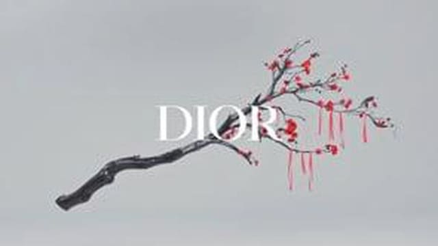 Dior Chinese New Year 2019 — Dior