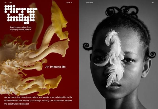 Mirror Image — Atmos Magazine