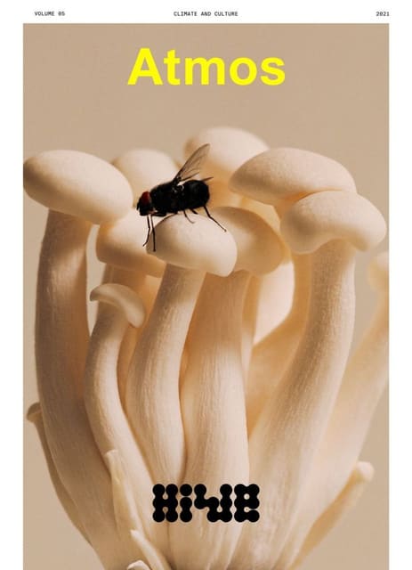 Atmos Magazine Vol 05: Hive Covers — Atmos Magazine