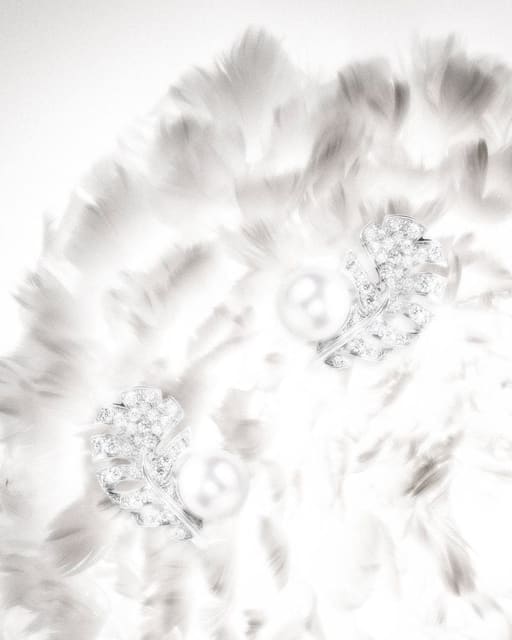 Chanel still life — Numéro Tokyo