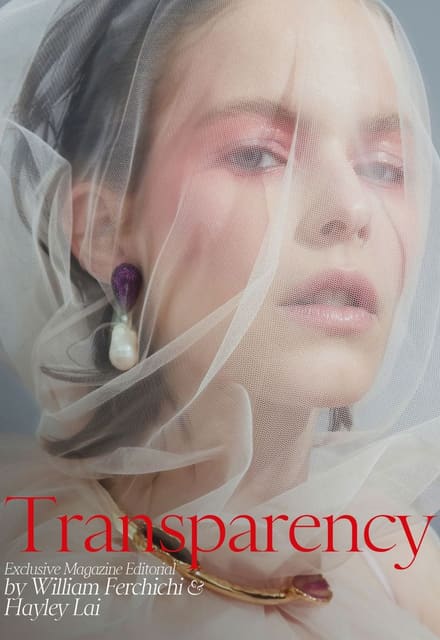 Transparency — The Impression