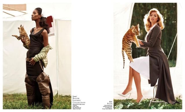The Animal Nursery — Harper's Bazaar U.S.