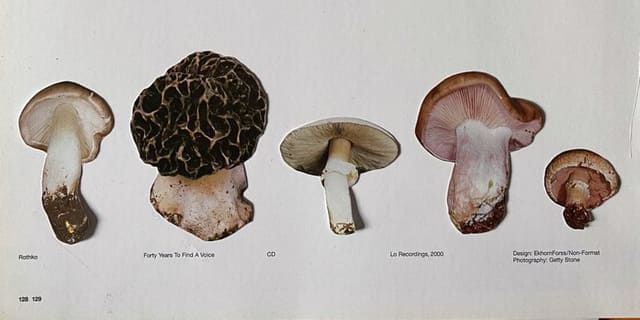 The Mushroom Series — Pylot Magazine