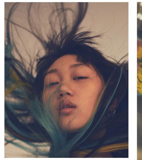 Birds of Paradise — Special Projects